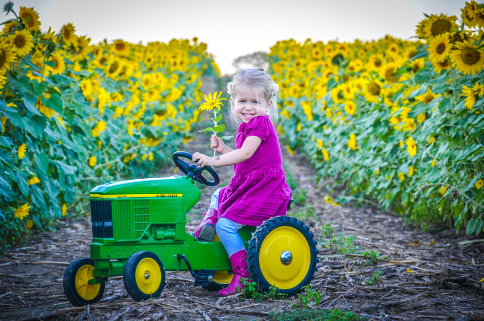 farm family fun