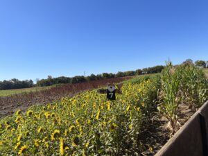 Burwinkel farms