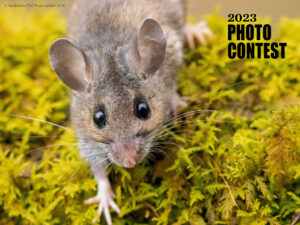 nature conservancy 2023 photo contest