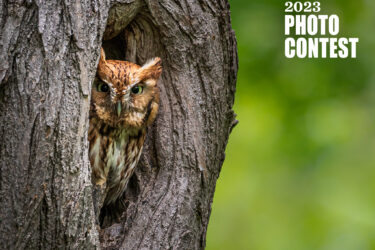 nature conservancy 2023 photo contest