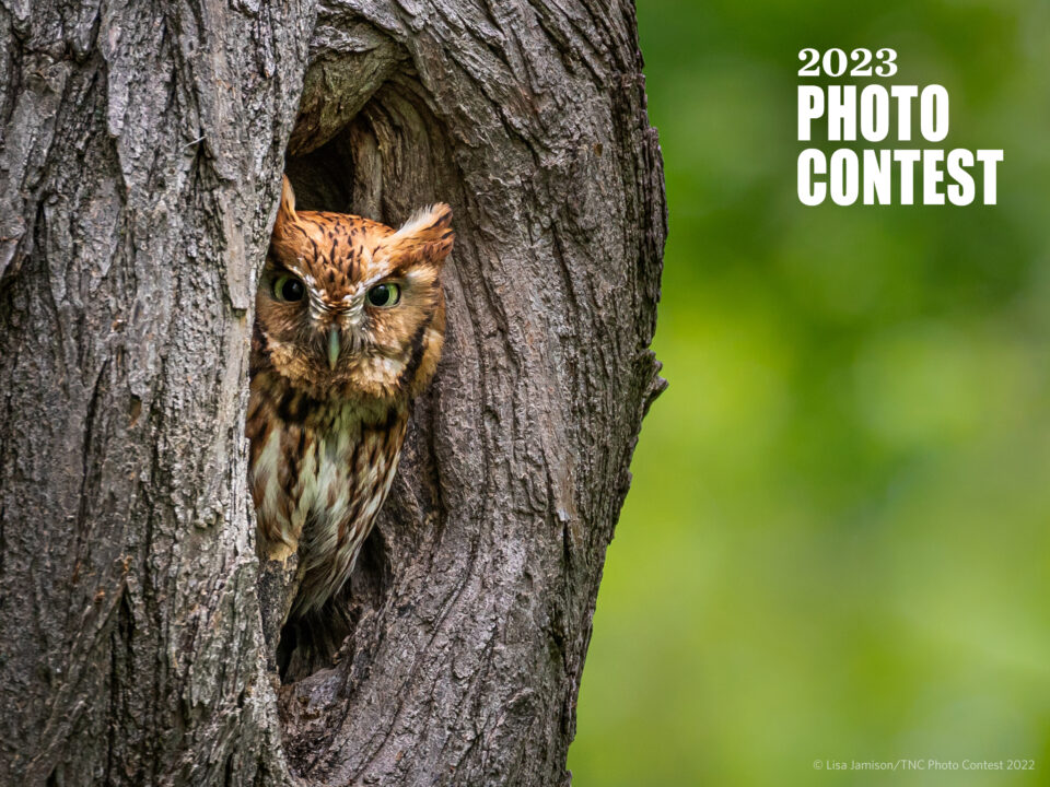 nature conservancy 2023 photo contest