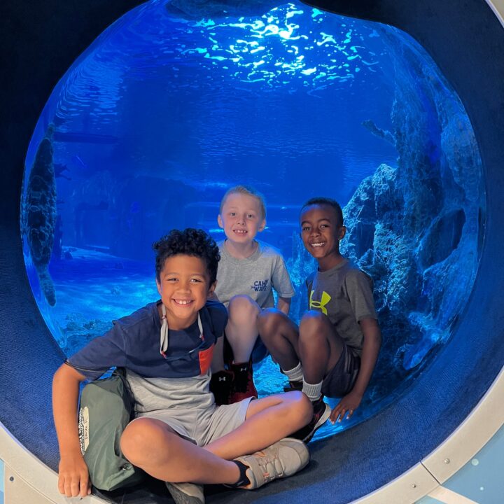 Campers make life-long friendships at Camp WAVE, all while exploring STEM concepts and conservation techniques! Join the fun - register today while spots remain: https://tr.ee/5cRRGf51yR