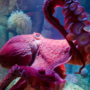 what's new at Newport aquarium