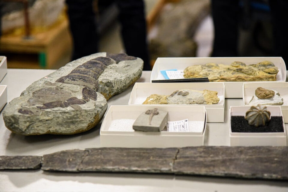 Cincinnati Museum Center Collection Making Moves