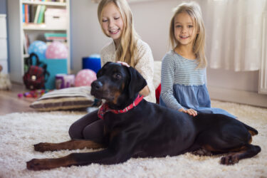 Smart & Safe: Your Guide to a Secure Summer at Home