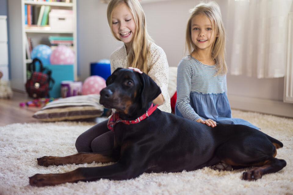 Smart & Safe: Your Guide to a Secure Summer at Home