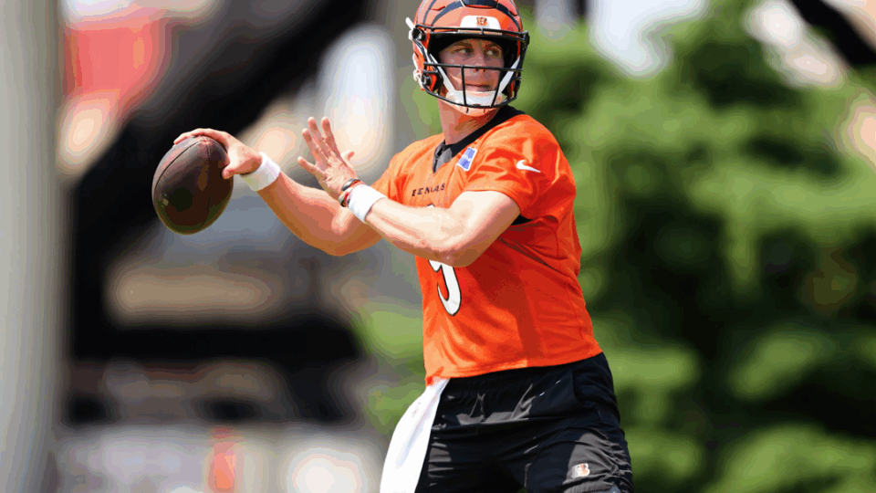 Cincinnati Bengals Training Camp