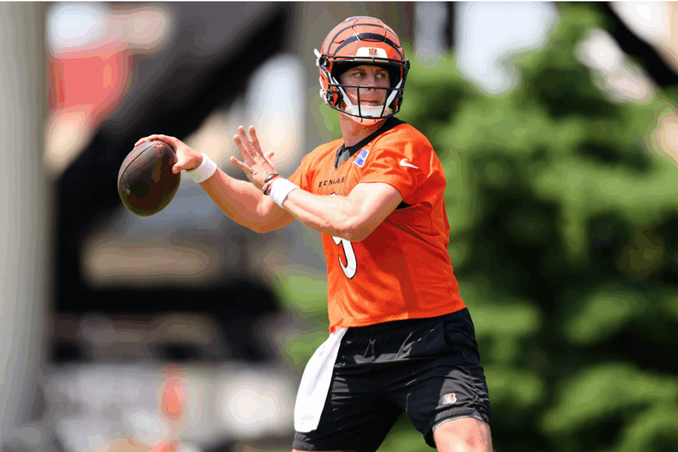 Cincinnati Bengals Training Camp