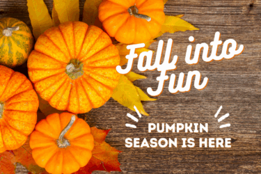 Fall into Fun