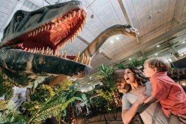 Jurassic Quest Discount Code