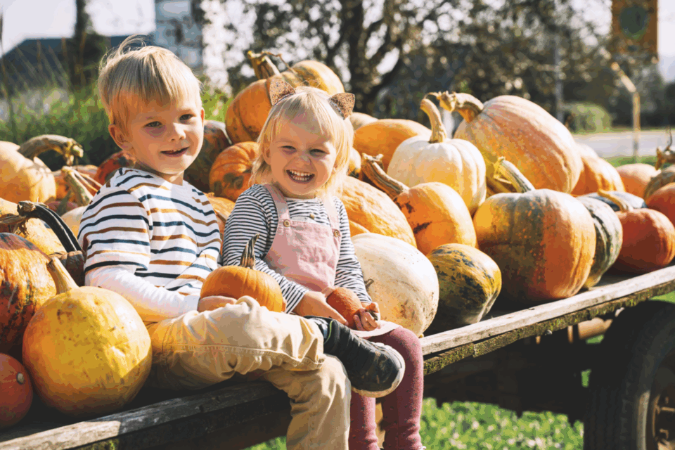 Fall Family Fun 2025