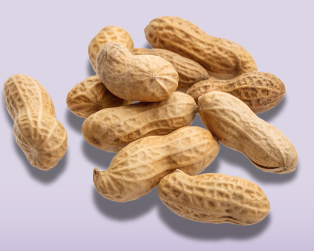 Introducing Peanuts Earlier Reduces Risks
