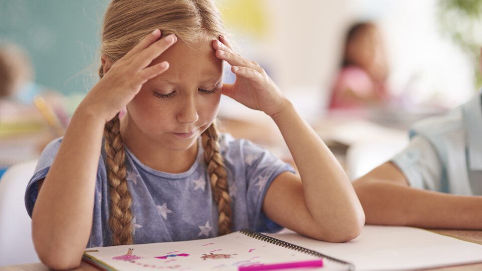 Understanding Dyslexia