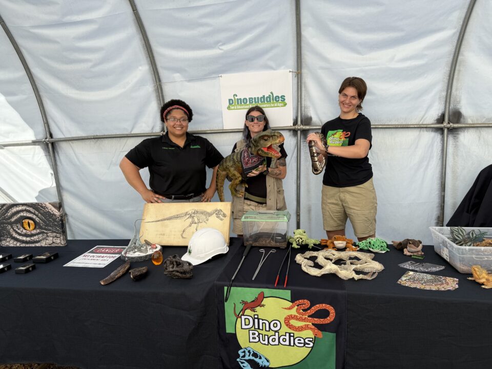 Dino Buddies LLC