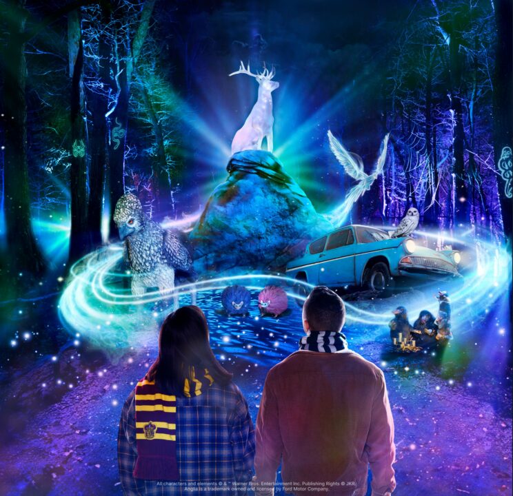 Take a Hike! Harry Potter Forest Experience Comes to Town