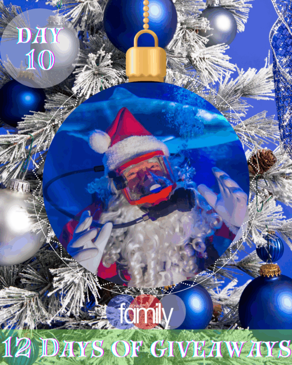 Day 10: December 10th