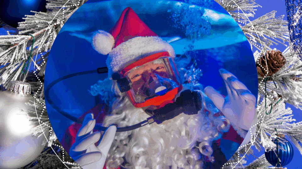 Day 10: December 10th