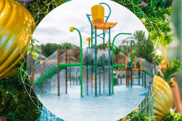 Day 12- December 12th