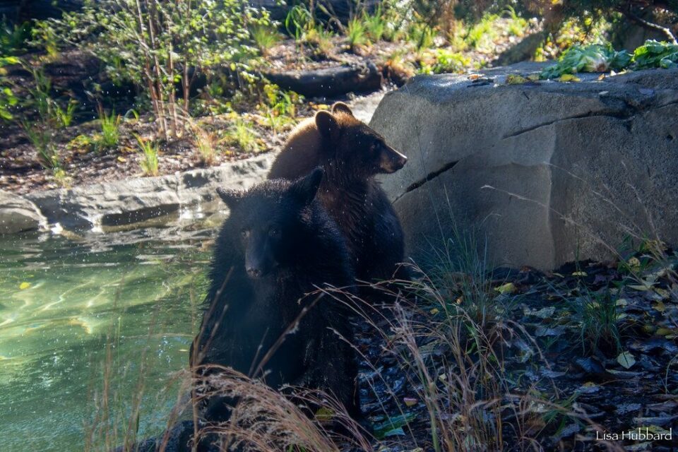 What’s New at Cincinnati Zoo