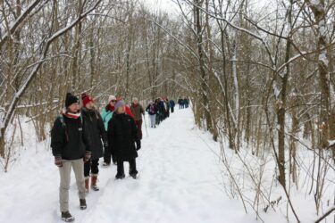 Great Parks Community Days