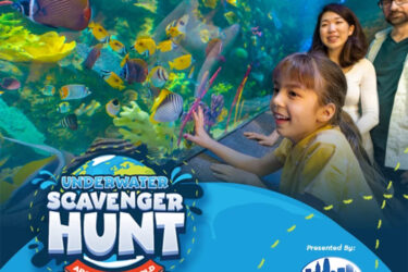 Newport Aquarium's Underwater Scavenger Hunt