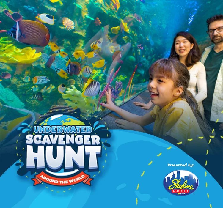 Newport Aquarium's Underwater Scavenger Hunt