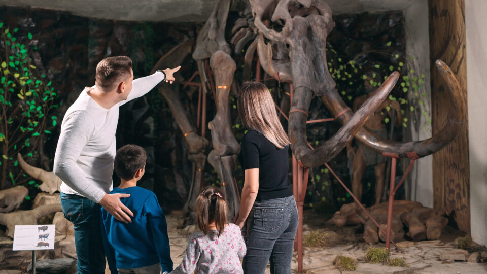 8 Beyond the Beach Vacations