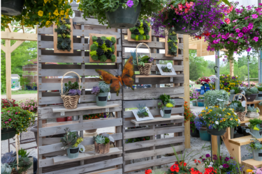 Blooms & Berries Opens for Season